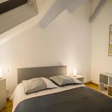 Duplex Pasteur - 2 - Privee Apartment Troyes